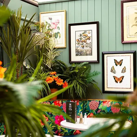 The Palm Bray