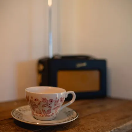 The Palm * 브레이